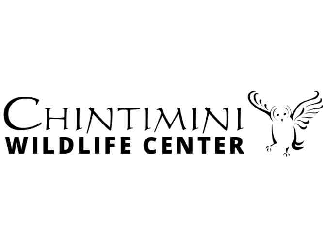 Chintimini 'Wild Encounter'