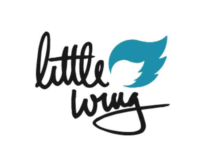 One Month of Little Wing, Innovative Group Class for Pre-K/K with School of Rock Brooklyn