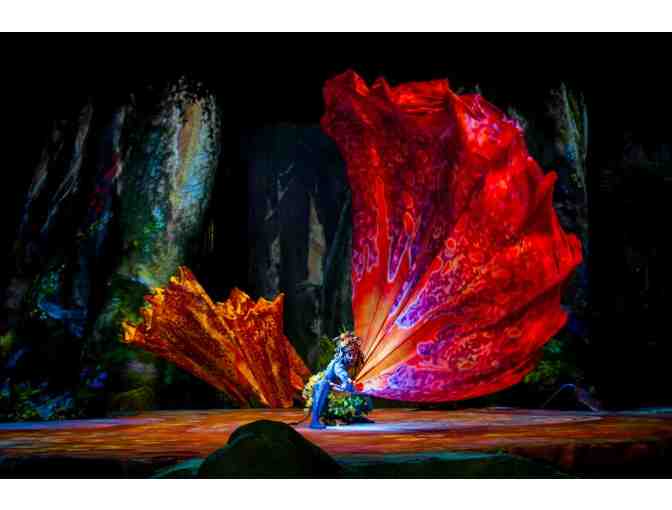 Cirque du Soleil Toruk at the Barclays Center - 24 Tickets in Suite - Photo 3