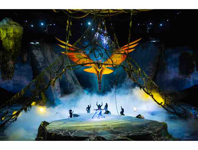 Cirque du Soleil Toruk at the Barclays Center - 24 Tickets in Suite