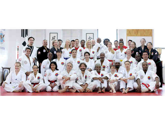 1 Month Unlimited Martial Arts Classes (adult or child)