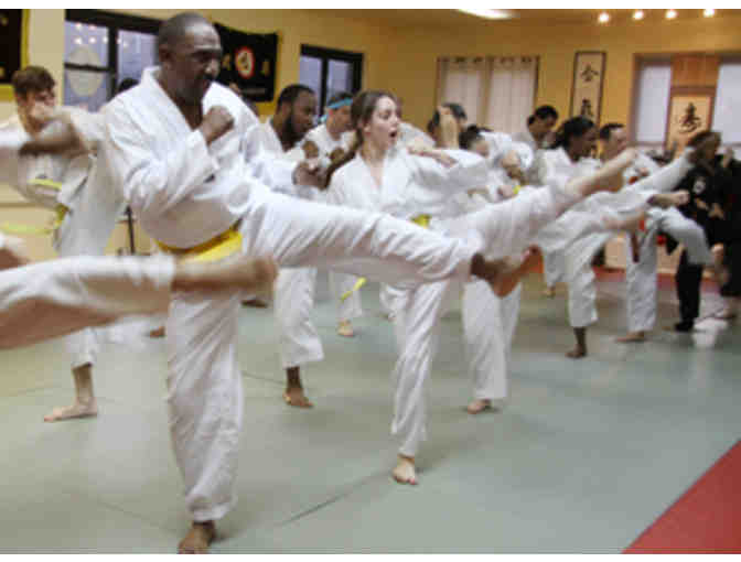 1 Month Unlimited Martial Arts Classes (adult or child)