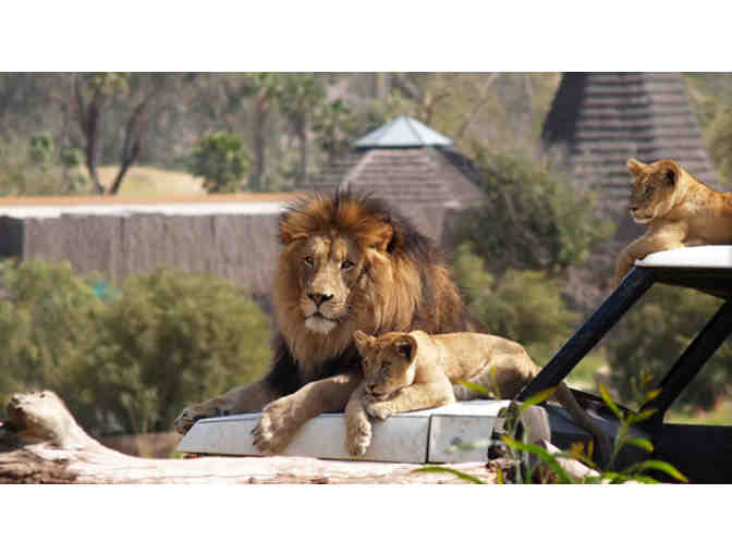 2 San Diego Zoo and Safari Park Passes