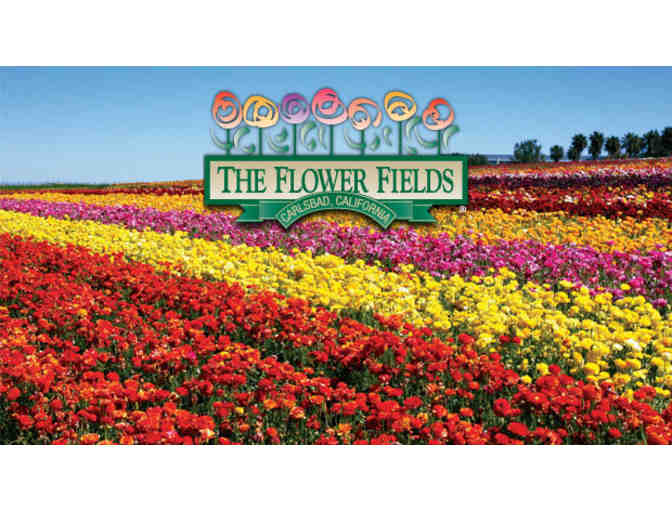 For Tickets to Flowers at Carlsbad