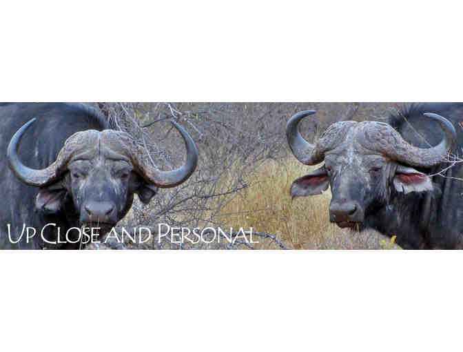 5 Night Big Five African Photo Safari for Two Guests