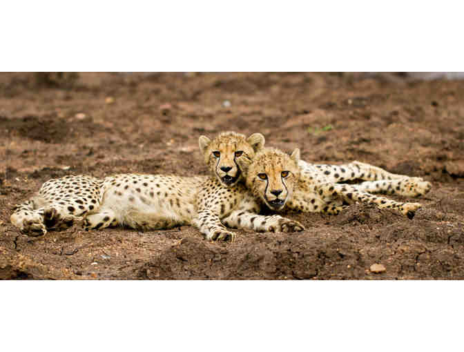 'I Dreamed of Africa' Photo Safari for Two at Zulu Nyala Game Lodge in South Africa