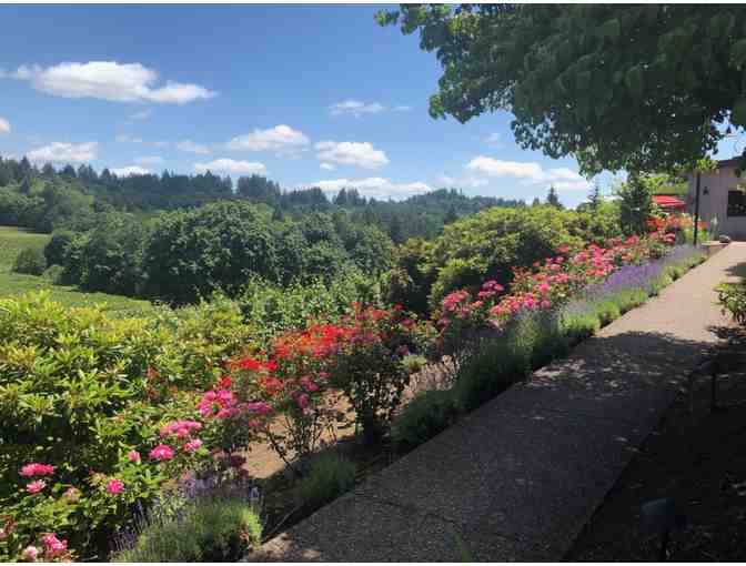 Wine Tasting for 6 at Elk Cove Vineyards + 2 Bottles of Wine