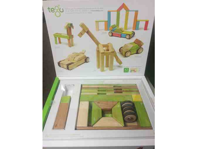 Tegu Blocks - 42 Piece Jungle Set