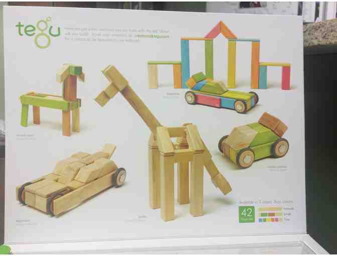 Tegu Blocks - 42 Piece Jungle Set