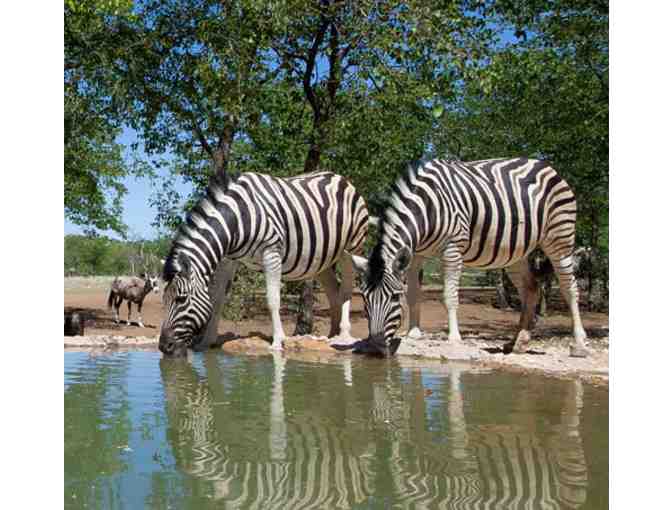 African Safari - 5 Days and 4 Nights for Two in Namibia