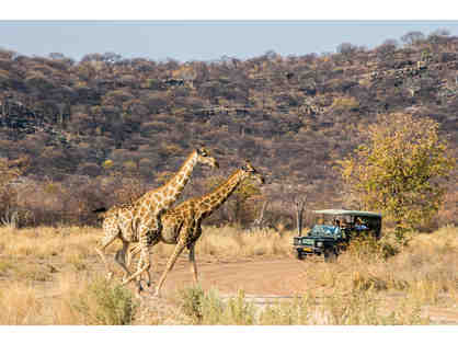 Once-in-a-Lifetime African Safari Trip!