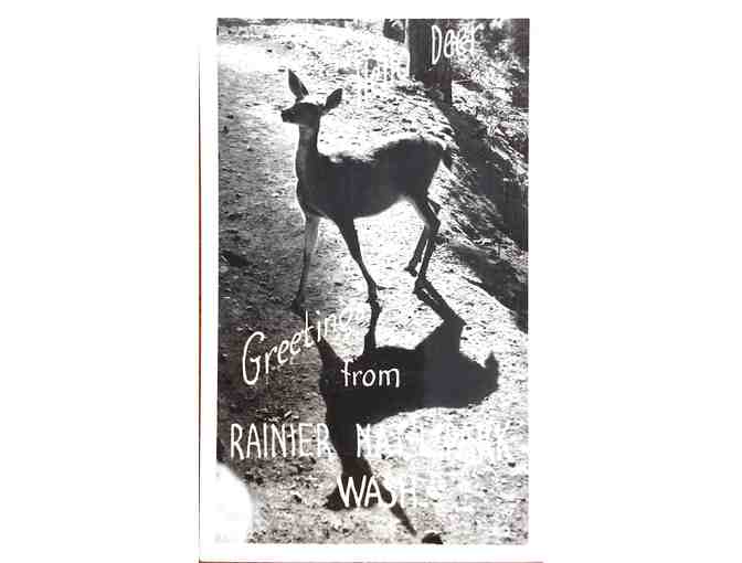 10 1940's Postcards Rainier National Park Washington