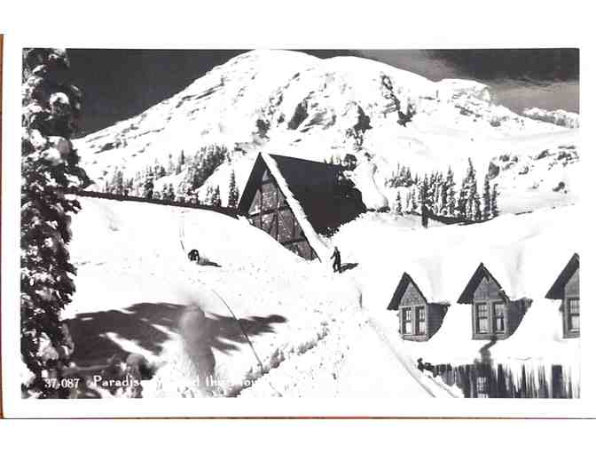 10 1940's Postcards Rainier National Park Washington