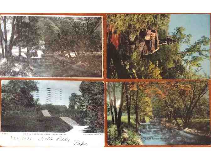 12 1910-1960 Postcards Cherokee Park Louisville, Kentucky