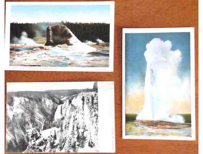 7 1920's Postcards Yellowstone Park