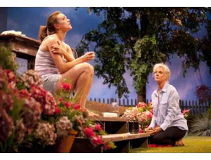 2 Tickets to the 2018 Williamstown Theatre Festival Summer Season