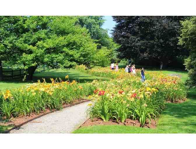 Individual Membership for One to the Berkshire Botanical Garden