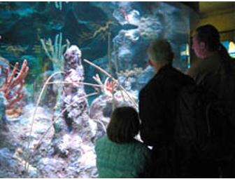 Passes to the New England Aquarium and Dinner at Legal Seafood