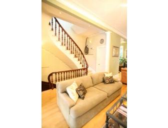 Interior Design or Urban Gardening Services