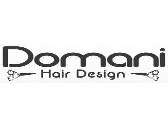 Gift Certificate to Domani Hair Design