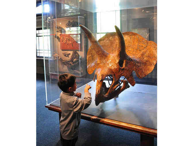 KID'S SCAVENGER HUNT BIRTHDAY PARTY & CUSTOM DESSERT FROM THE SWEETERY