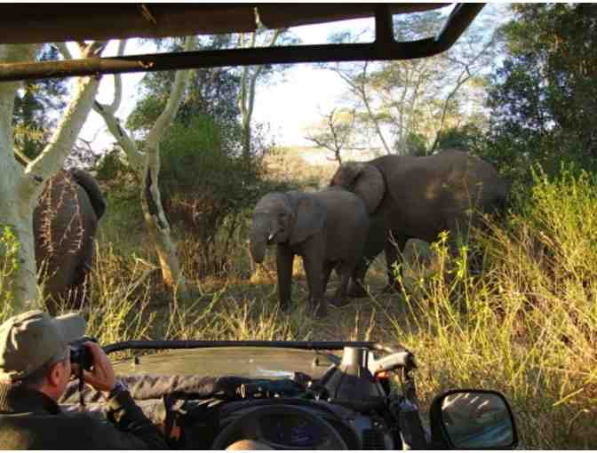 LUXURY SOUTH AFRICA PHOTO SAFARI FOR TWO