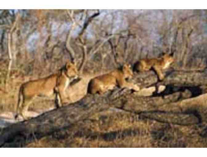 LUXURY SOUTH AFRICA PHOTO SAFARI FOR TWO