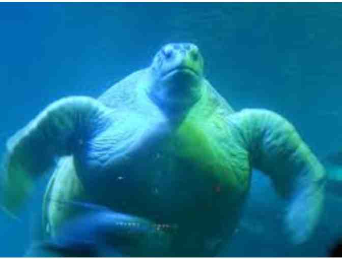 NEW ENGLAND AQUARIUM & BOSTON HARBOR SUNSET CRUISE!