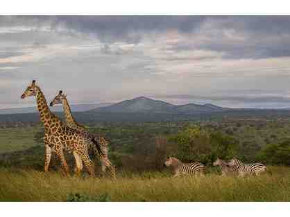 LUXURY SOUTH AFRICA PHOTO SAFARI FOR TWO