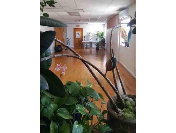 Taireiki Yoga & Wellness Center: 5 Yoga Classes or 1 hour Reiki Session