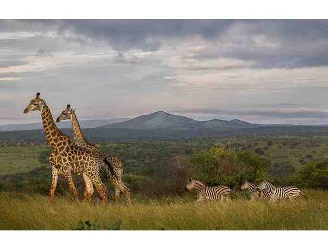 Luxury South Africa Photo Safari for 2!