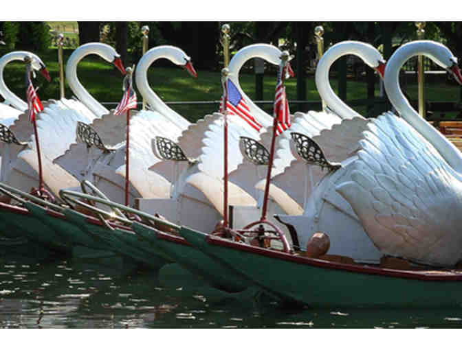 Boston Swan Boat Ride for 4 adults or children!!!!