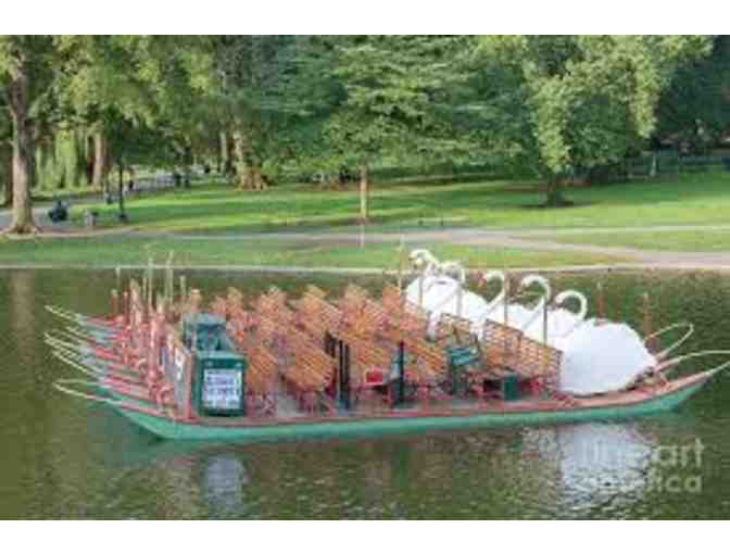 Boston Swan Boat Ride for 4 adults or children!!!!