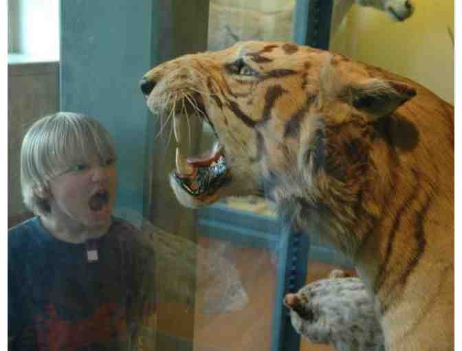 Kid's Scavenger Hunt Birthday Party with the Dinosaurs in Cambridge, MA!