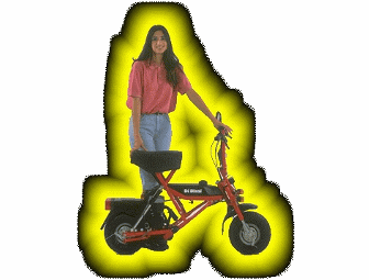 Di Blasi Folding Motorbike