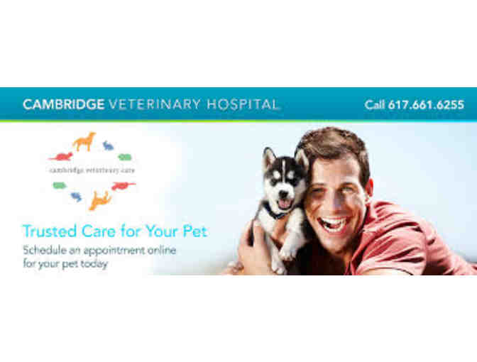 Your Pet Will Thank You