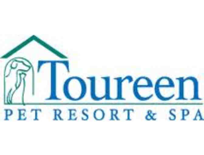 Your Pet Will Thank You