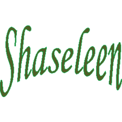 Shasaleen Salon