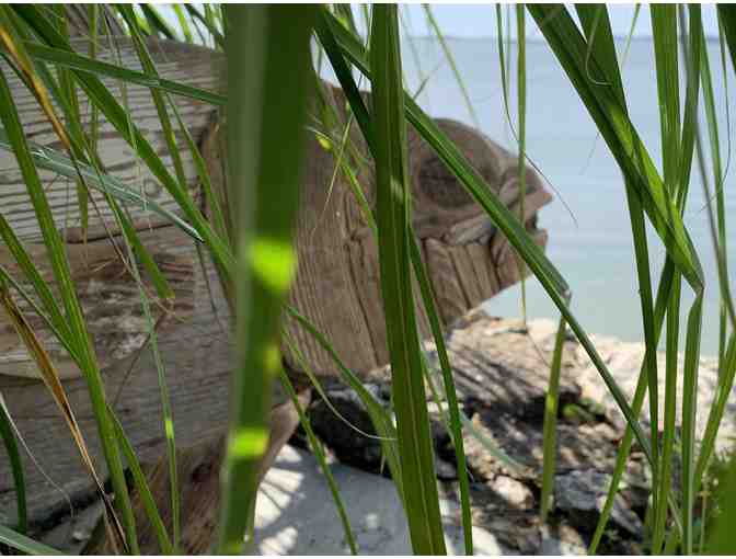 'Drifting Through' Bass