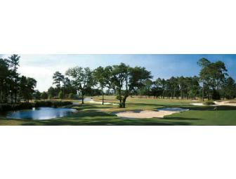 Golf at The Bridges - Hollywood Casino Bay St Louis, MS