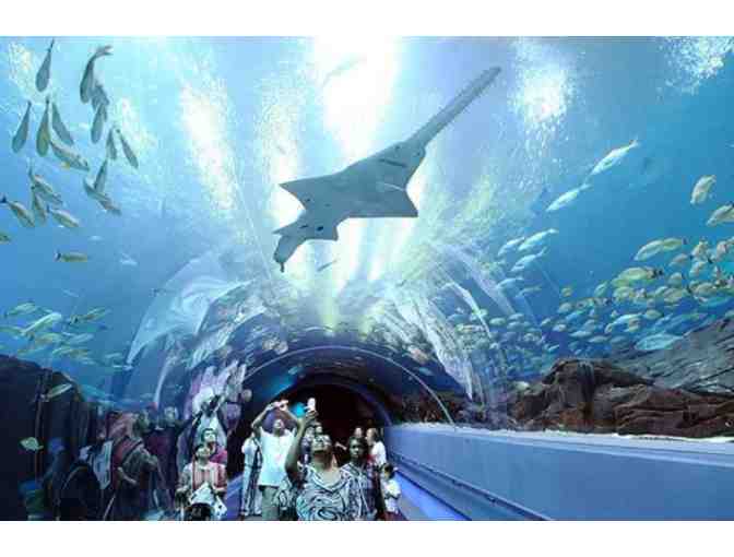 Georgia Aquarium Tickets