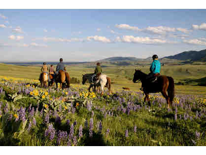 Wyoming Guest Ranch - Wild West Adventure for 4 for 4 Nights!