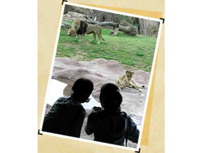 Denver Zoo Family Four Pack