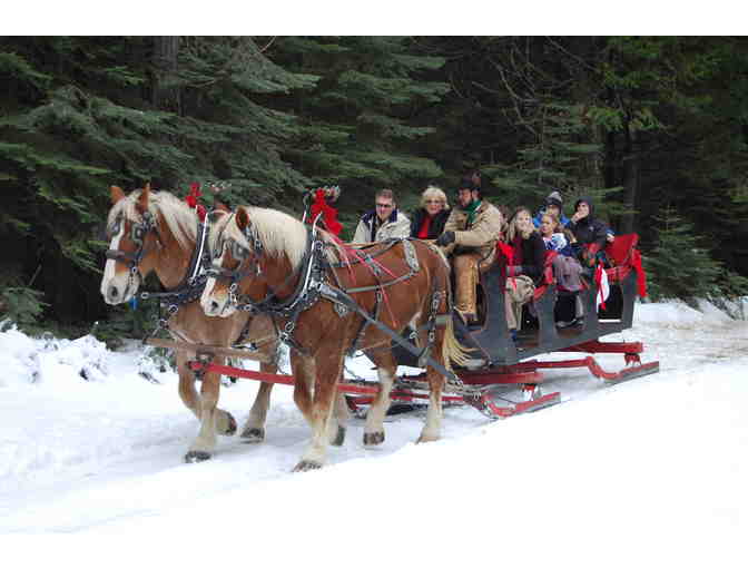 Horse Drawn Sleigh Ride for Two