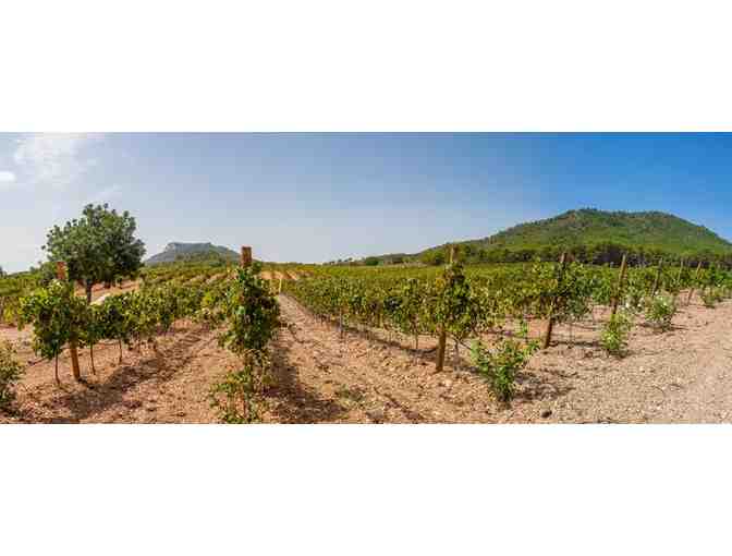 1 case (12-bottles) of exquisite Bodegas Castell del Sud Wine - Photo 1
