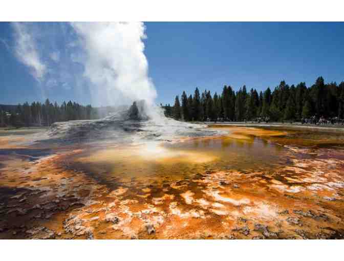 One Week Stay at Yellowstone National Park