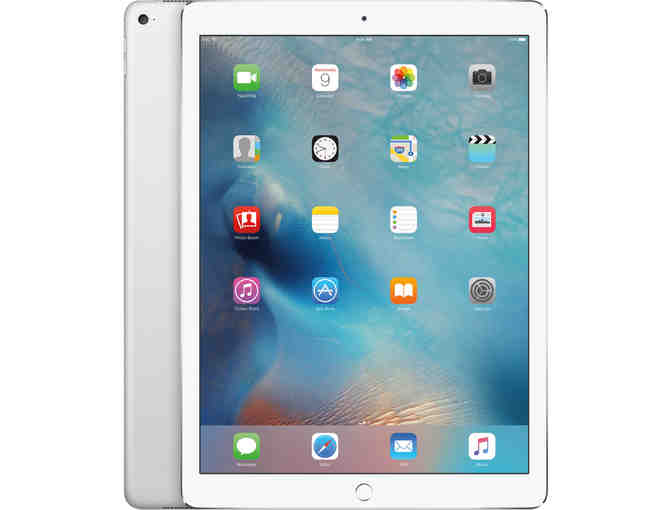 Apple iPad Pro and Case - Photo 1