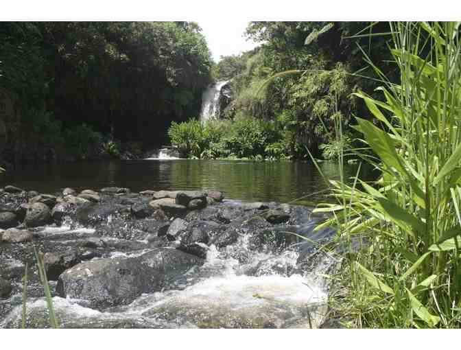 2 seats RideTheRim ATV/Buggy Tours