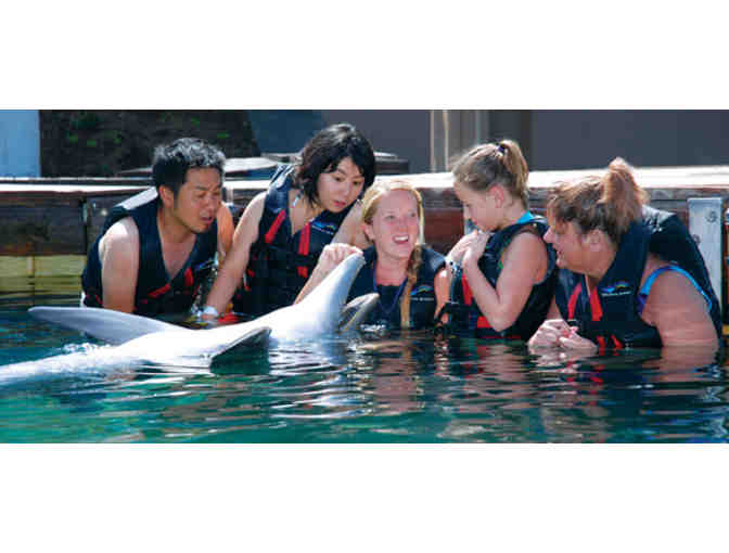Dolphin Quest Hawaii VIP Program for Two
