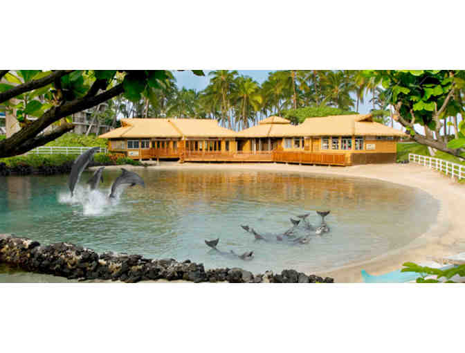 Dolphin Quest Hawaii VIP Program for Two
